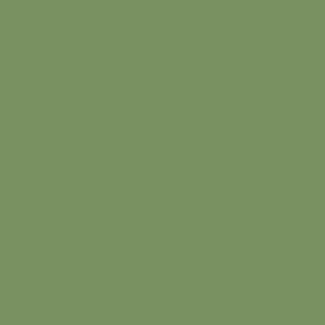 Tilda Solids Pine yardage